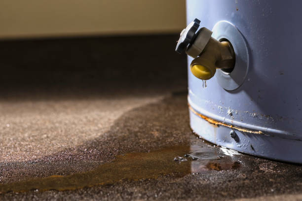 Best Water damage restoration near me  in Millbourne, PA