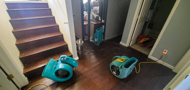 Best Water damage restoration process  in Millbourne, PA
