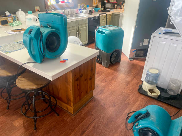 Best Flooded house restoration  in Millbourne, PA