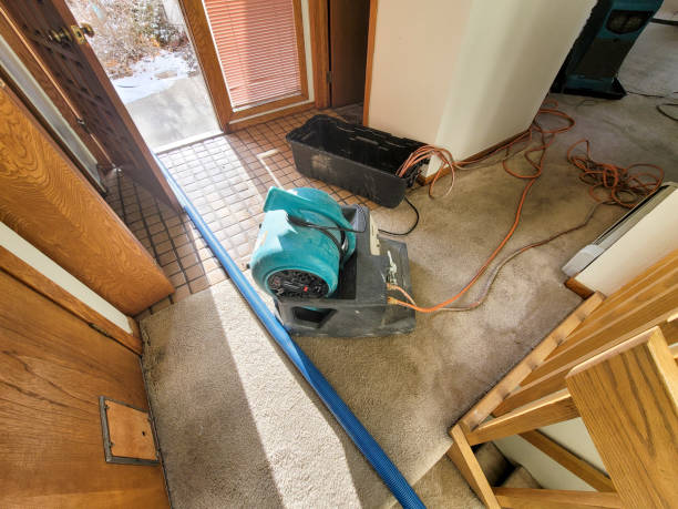 Best Residential water damage restoration  in Millbourne, PA