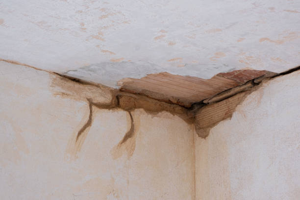 Best Local water damage restoration  in Millbourne, PA