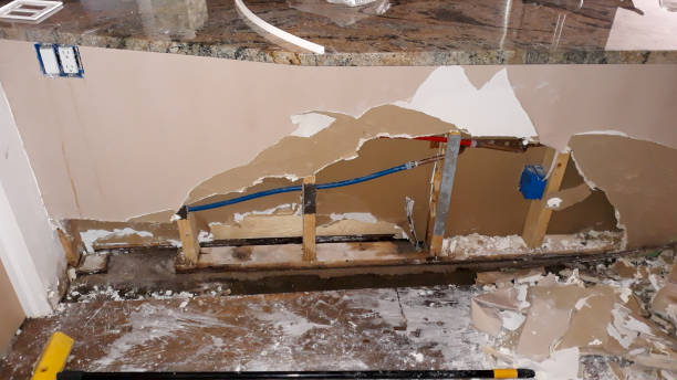 Best Water damage restoration near me  in Millbourne, PA