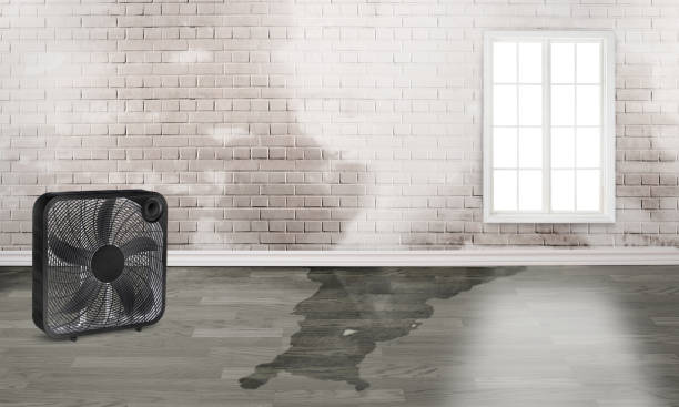 Best Commercial water damage restoration  in Millbourne, PA