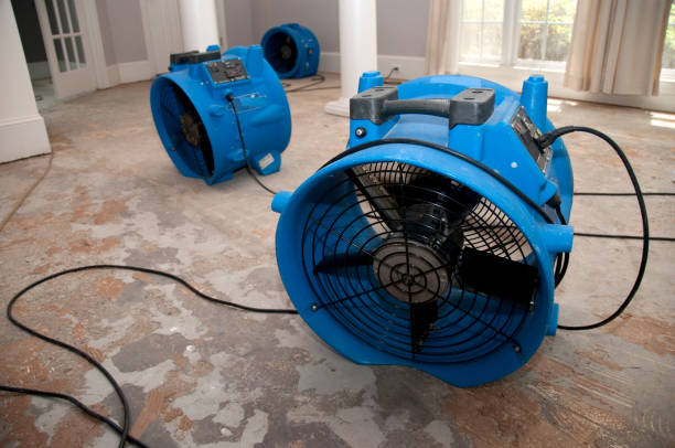 Best 24-hour water damage restoration  in Millbourne, PA