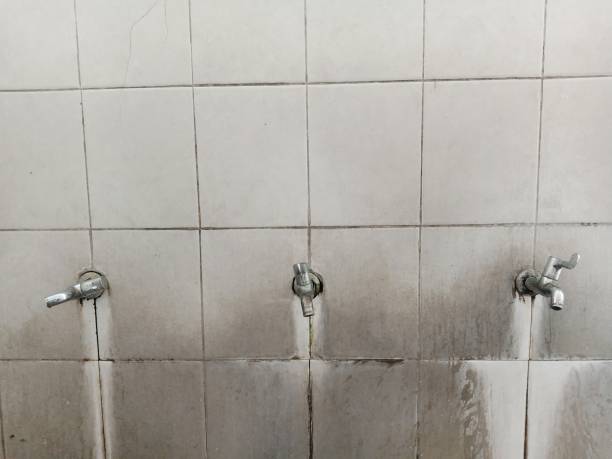 Best Basement water damage restoration  in Millbourne, PA
