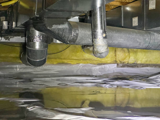 Best Ceiling water damage repair  in Millbourne, PA