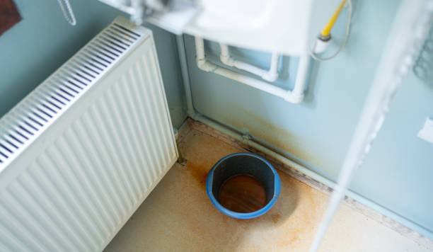 Best Mold removal after water damage  in Millbourne, PA