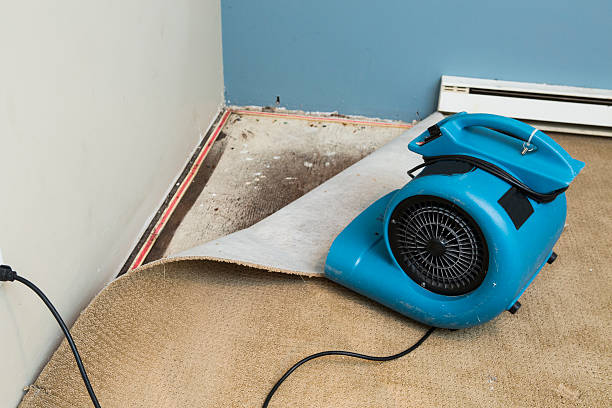 Best Flood damage cleanup  in Millbourne, PA